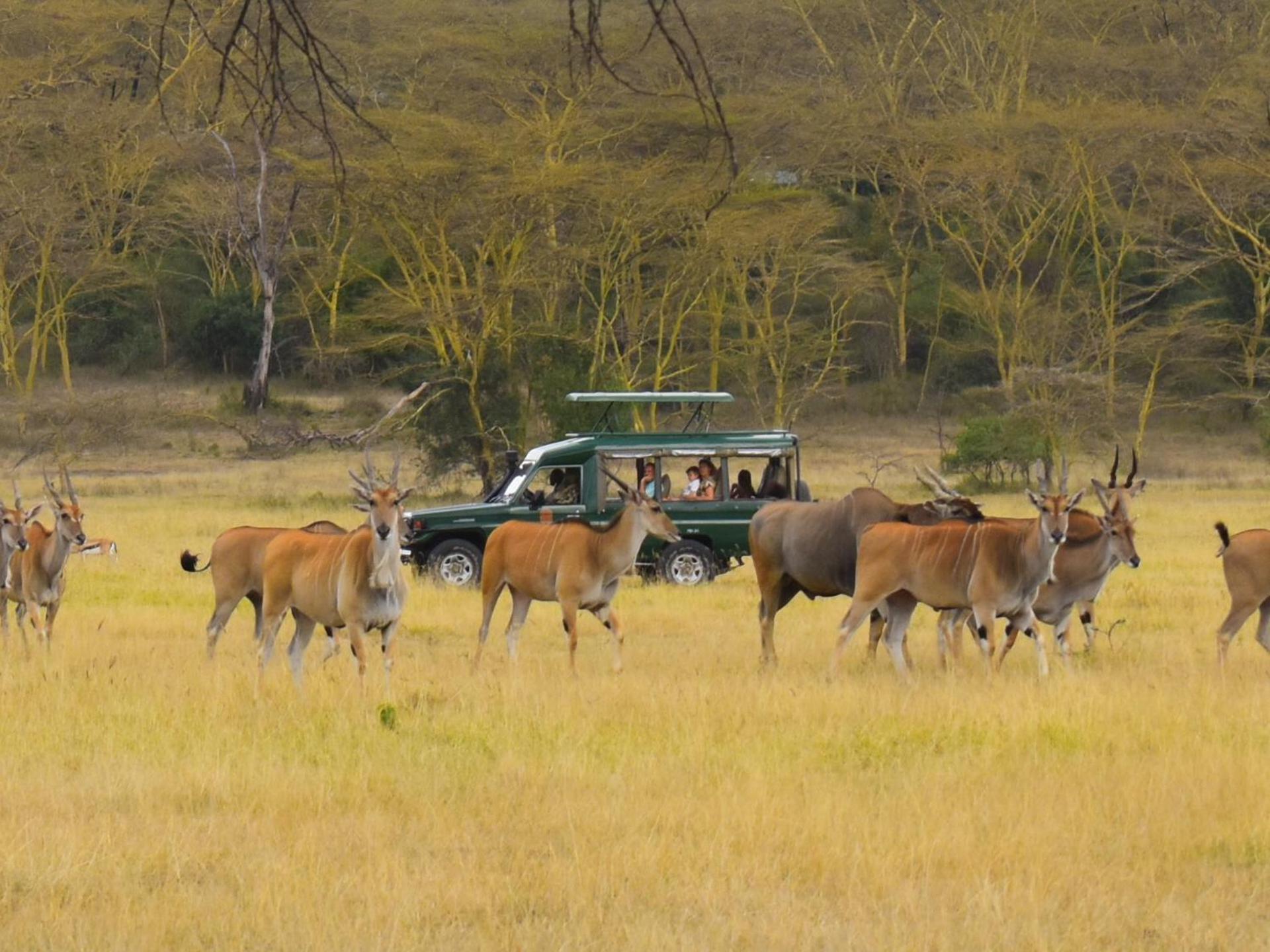 Lake Elmenteita Serena Camp Exterior foto